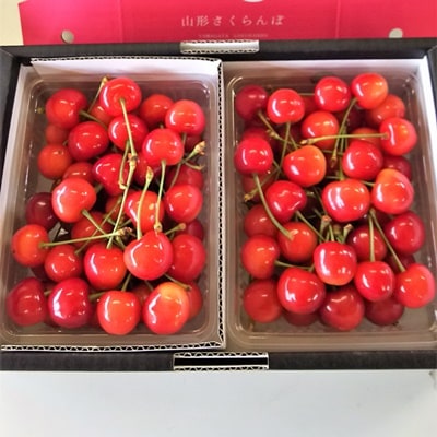 さくらんぼ(佐藤錦)700g　М～2Lサイズ　ご家庭用　0046-2502