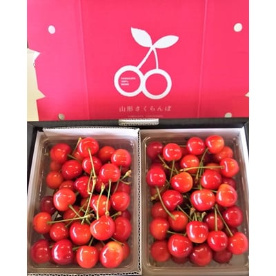 さくらんぼ(佐藤錦)700g　М～2Lサイズ　ご家庭用　0046-2502