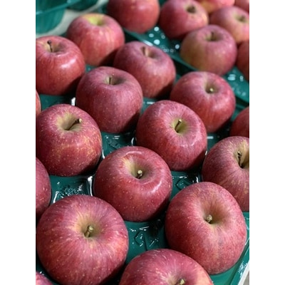 有機肥料栽培　葉とらずサンふじ　上山市産　10kg　46～50玉　0079-2627