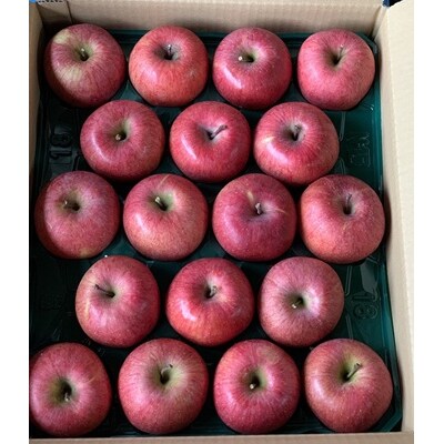 有機肥料栽培　葉とらずサンふじ　上山市産　10kg　36～40玉　0079-2628