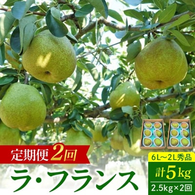 【定期便:全2回】ラ・フランス　2.5kgを2回お届け　0012-2606
