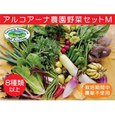 アルコアーナ農園野菜セット　Mサイズ　0148-2507