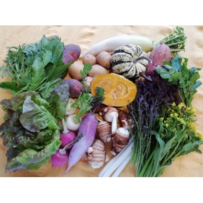 アルコアーナ農園野菜セット　Mサイズ　0148-2507