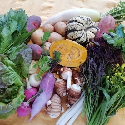 【2026年7月～発送】アルコアーナ農園野菜セット　Mサイズ　0148-2608