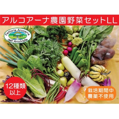 【2025年7月～発送】アルコアーナ農園野菜セット　LLサイズ　0148-2508