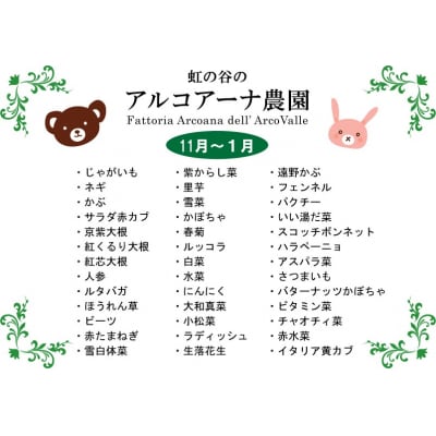 アルコアーナ農園野菜セット　LLサイズ　0148-2508