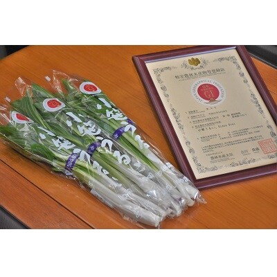 【ここでしか選べない野菜】GI登録「小笹うるい」(露地栽培)　150g×8袋　0060-2601