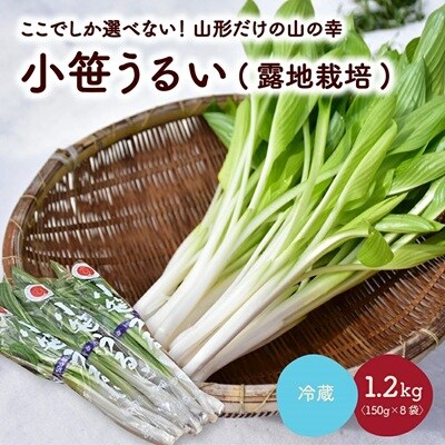 【ここでしか選べない野菜】GI登録「小笹うるい」(露地栽培)　150g×8袋　0060-2601