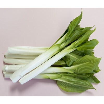 【ここでしか選べない野菜】GI登録「小笹うるい」(露地栽培)　150g×8袋　0060-2601