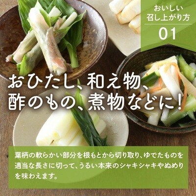 【ここでしか選べない野菜】GI登録「小笹うるい」(露地栽培)　150g×8袋　0060-2601