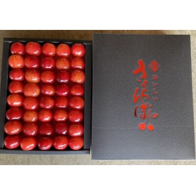 さくらんぼ(佐藤錦)　お化粧詰め　特秀品　300g　0044-2304 | ふるさと納税のお礼品