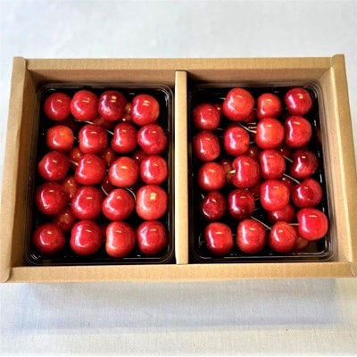 さくらんぼ(紅秀峰)1kg　2Lサイズ　0069-2609