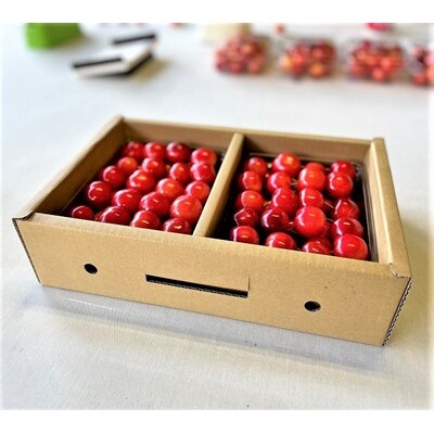 さくらんぼ(紅秀峰)1kg　2Lサイズ　0069-2609