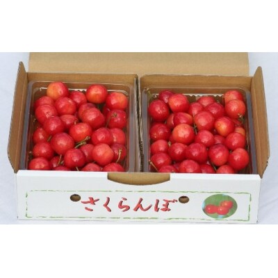 さくらんぼ(佐藤錦)1kg　2Lサイズ　0069-2503