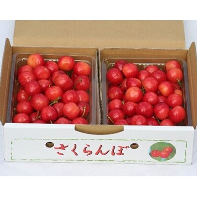 さくらんぼ(佐藤錦)1kg　2Lサイズ　0069-2607