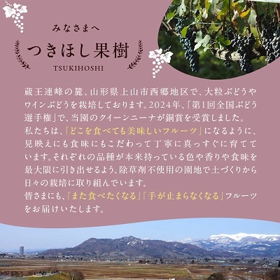 美味しい上山・山ぶどうジュース(原液)600ml×2本　0140-2508
