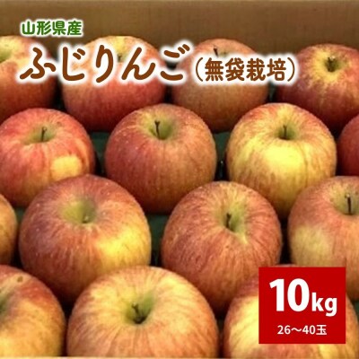 ふじりんご　10kg　26～40玉　ご家庭用　0044-2607