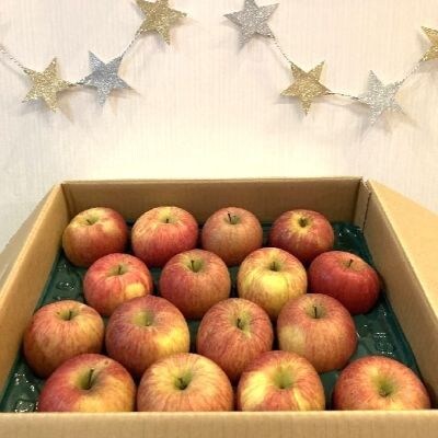 ふじりんご　10kg　26～40玉　ご家庭用　0044-2607