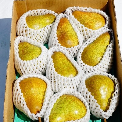 2023年8月から発送 静岡県産 梨 3kg | お礼品詳細 | ふるさと納税なら ...