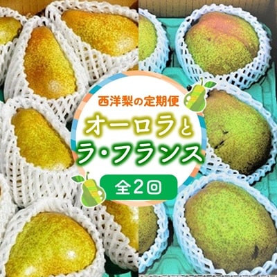 【定期便:全2回】オーロラとラ・フランス　各2.5kg　0012-2607