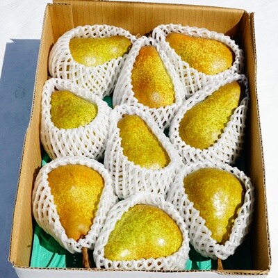 【定期便:全2回】オーロラとラ・フランス　各2.5kg　0012-2607