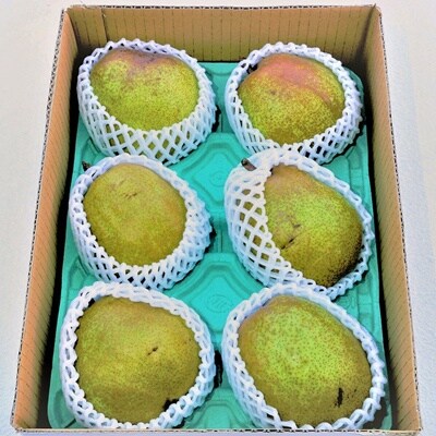 【定期便:全2回】オーロラとラ・フランス　各2.5kg　0012-2607