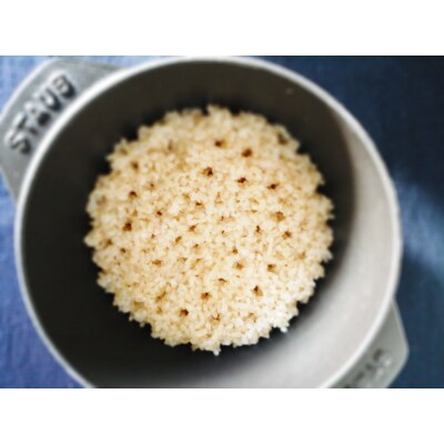 【自然栽培米】令和4年度産ササニシキ 玄米 10kg 0084-2202