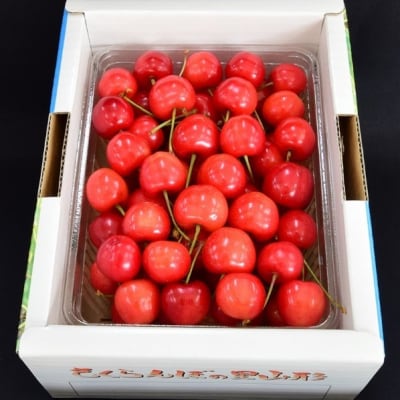 さくらんぼ(佐藤錦)500g　0056-2414 | ふるさと納税のお礼品