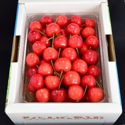 さくらんぼ(佐藤錦)500g　0056-2603