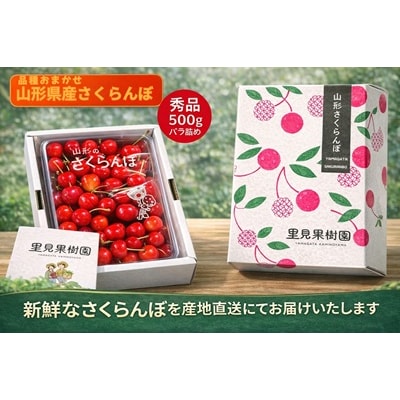 さくらんぼ(品種おまかせ)500g以上　秀品以上　0079-2607