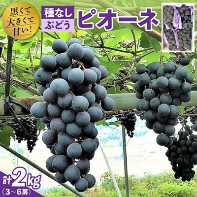 種無しぶどう(ピオーネ)2kg　0020-2614