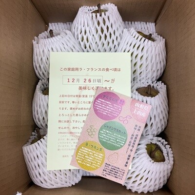 西洋梨(ラ・フランス)3kg　ご家庭用　0041-2602