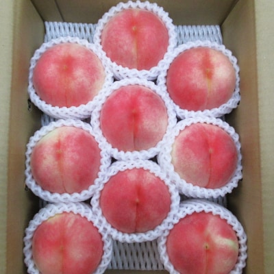 旬の桃　3kg　ご家庭用　0110-2502