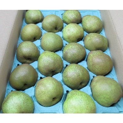 西洋梨(ラ・フランス)5kg　特秀・秀品混合　0110-2509