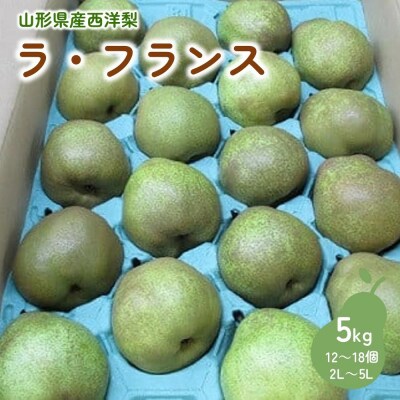 西洋梨(ラフランス)5kg　特秀・秀品混合　0110-2606
