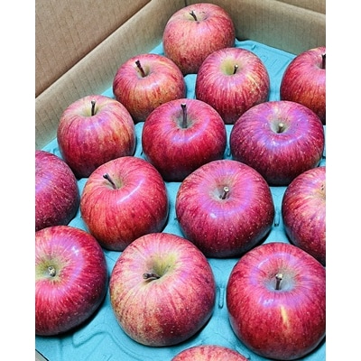 りんご(サンふじ)5kg　12～23個　ご家庭用　0065-2610