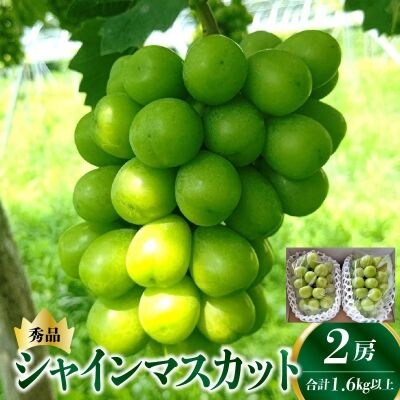 ぶどう(シャインマスカット)2房　合計1.6kg以上　0015-2605