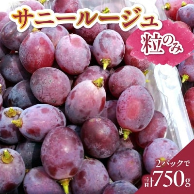 ぶどう(サニールージュ・粒のみ)2パックで750g　0142-2604