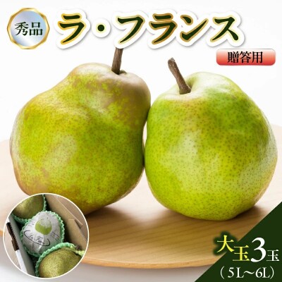 西洋梨(ラ・フランス)大玉3玉　贈答用　0142-2609