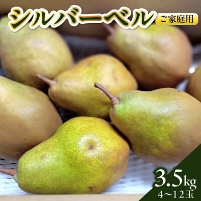 西洋梨(シルバーベル)3.5kg　ご家庭用　0142-2617