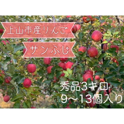 りんご(サンふじ)3kg　9～13個　0120-2504