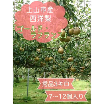 西洋梨(ゴールドラ・フランス)3kg　7～12個　0120-2605