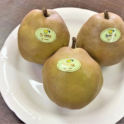西洋梨(ゴールドラ・フランス)3kg　7～12個　0120-2605