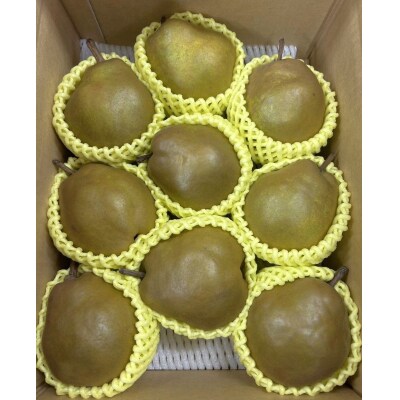 西洋梨(ゴールドラ・フランス)3kg　7～12個　0120-2605