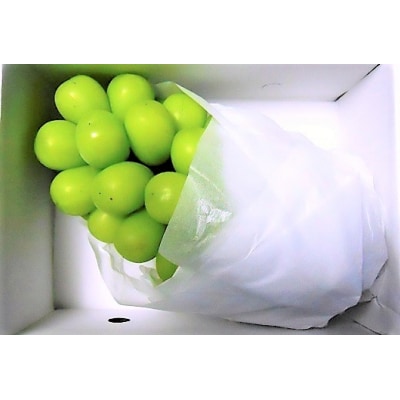 ぶどう(シャインマスカット)1房　700g　0017-2610