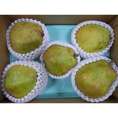西洋梨(ラ・フランス)3kg×2箱　大玉　ご家庭用　0017-2520