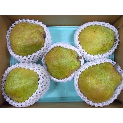 西洋梨(ラ・フランス)3kg×2箱　大玉　ご家庭用　0017-2619