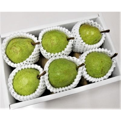 西洋梨(ラ・フランス)3kg以上×2箱　7Lサイズ　0017-2621