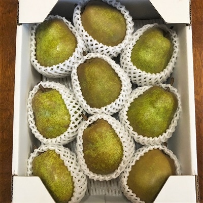 西洋梨(ラ・フランス)3kg　ご家庭用　0137-2302 | ふるさと納税のお礼品