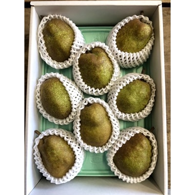 西洋梨(ラ・フランス)3kg　ご家庭用　0137-2601